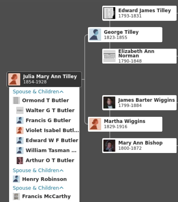 Heritage of Julia Mary Ann Tilley